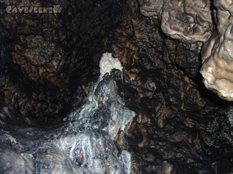 Dürrloch: Hier wird wieder geblutet.