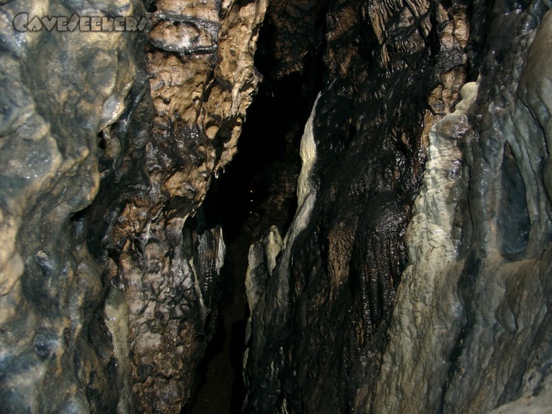 Dürrloch: Anders als in der Realität: Weißes überwuchert Schwarzes.