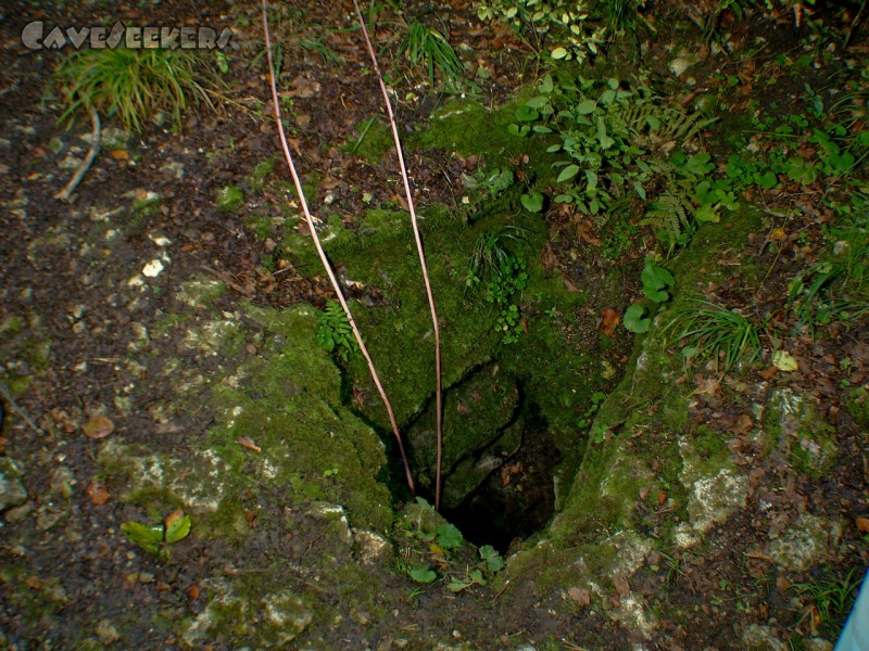 Eichberghöhle: Eichberghöhleneingang.
