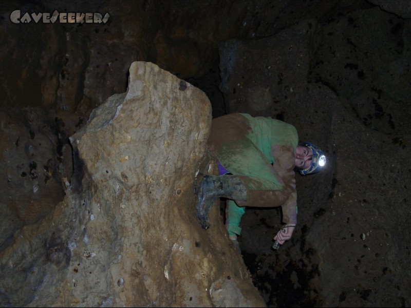 Eisenbahnhöhle: Nasensitzung.