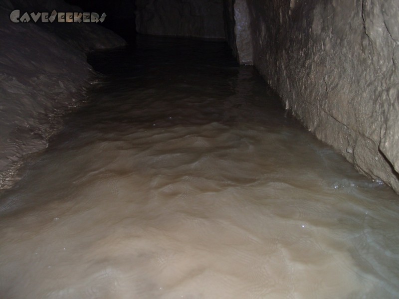 Elsachbröller: Die Wasserqualität ist eher mäßig - der Geschmack erinnert nicht im geringsten an Root Beer.