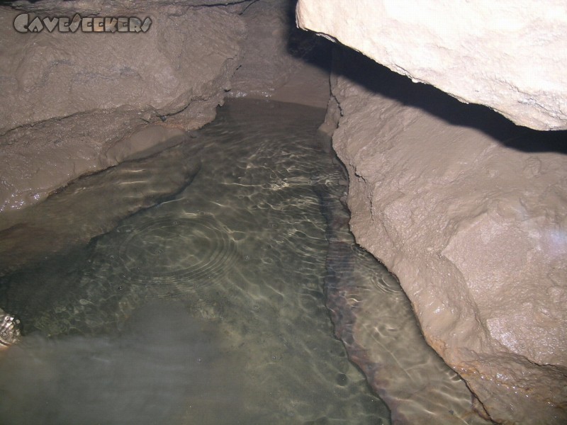 Elsachbröller: Zunächst findet sich noch klares Wasser.