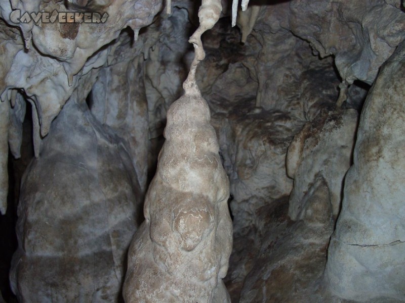 Esperhöhle: Im oberen hinteren Teil der zweiten Kammer findet sich dieses zusammengewachsene Teil.
