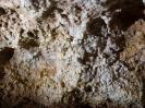 Euerwanger Höhle - Lebende Sinterknubbel