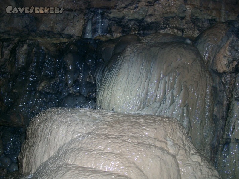 Falkensteiner Höhle: Lebende Versinterungen ohne Ende 1.