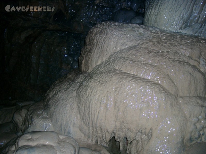 Falkensteiner Höhle: Lebende Versinterungen ohne Ende 2.