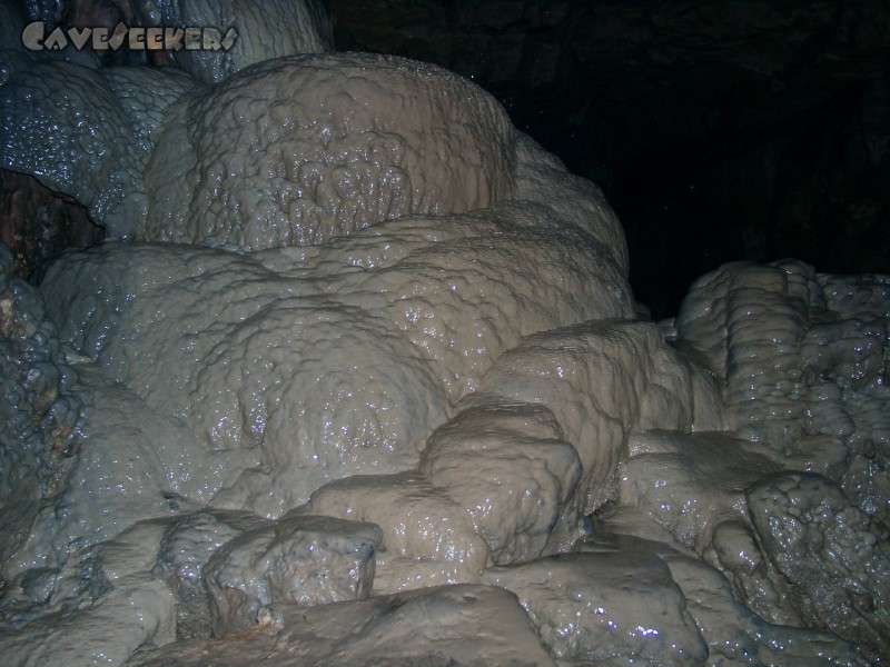 Falkensteiner Höhle: Lebende Versinterungen ohne Ende 3.