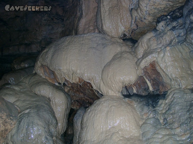 Falkensteiner Höhle: Lebende Versinterungen ohne Ende 4.