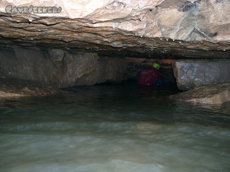 Falkensteiner Höhle: In der Nähe des ersten Siphons. Noch ahnt man nicht wirklich, wie kalt das Wasser ist.
