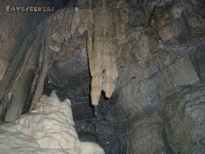 Falkensteiner Höhle: Lebende Versinterungen ohne Ende 5.