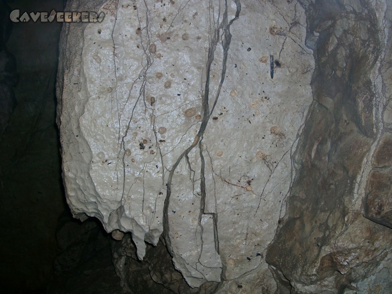 Falkensteiner Höhle: Der Hohlraum ist übersäht mit Verbruch. Beim Betrachten der Höhlendecke verwundert dies auch nicht weiter.