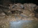 Falkensteiner Höhle