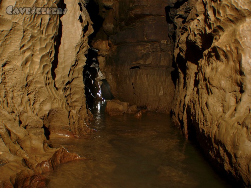 Falkensteiner Höhle: Und Wasser.