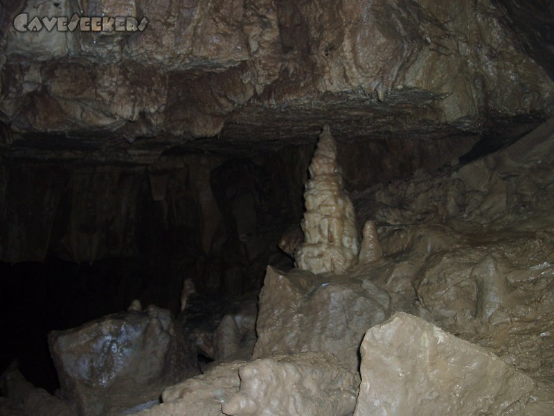 Falkensteiner Höhle: Königshalle auf 1415m. Alle anderen Bilder vielen unseren starken Ausdünstungen zum Opfer.