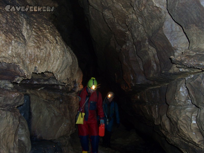 Falkensteiner Höhle: Typischer Höhlenquerschnitt mit zwei Caveseekern.