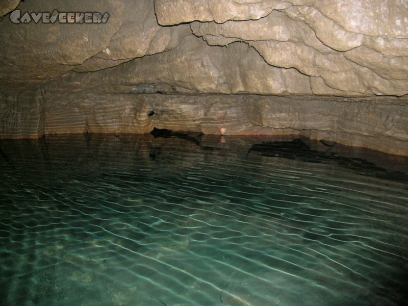 Falkensteiner Höhle: Schwimmbad - natürlich nicht vom Beckenrand springen!