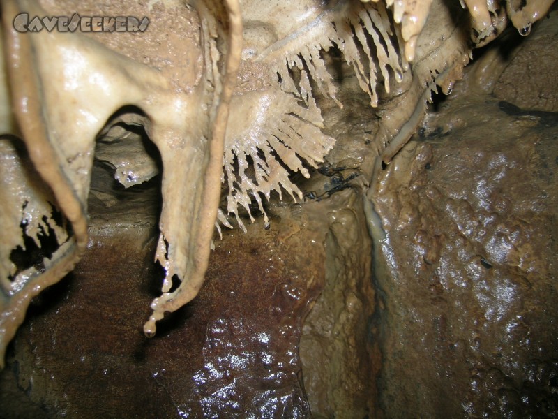 Falkensteiner Höhle: Gräten filigran.