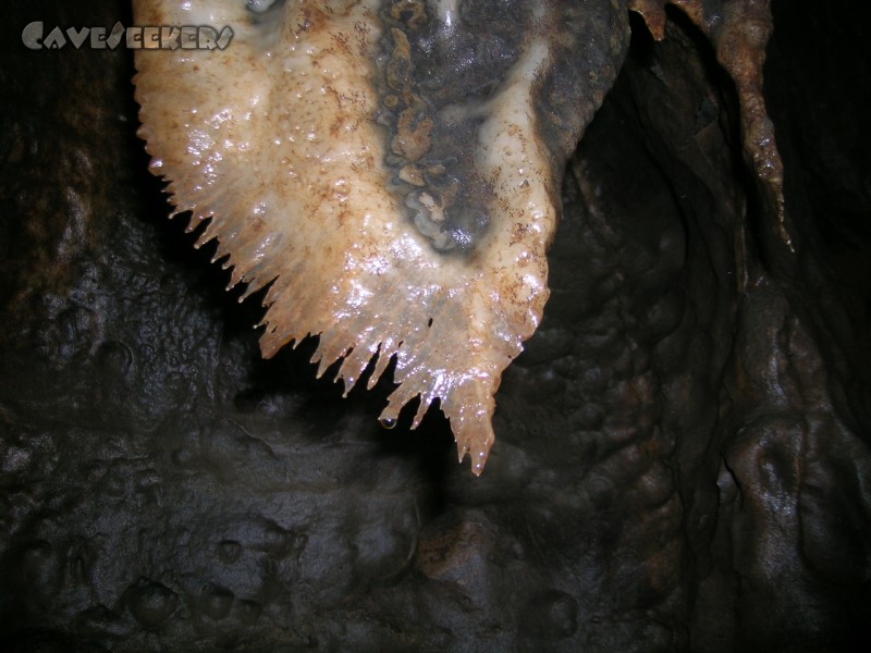 Falkensteiner Höhle: Unfassbar.
