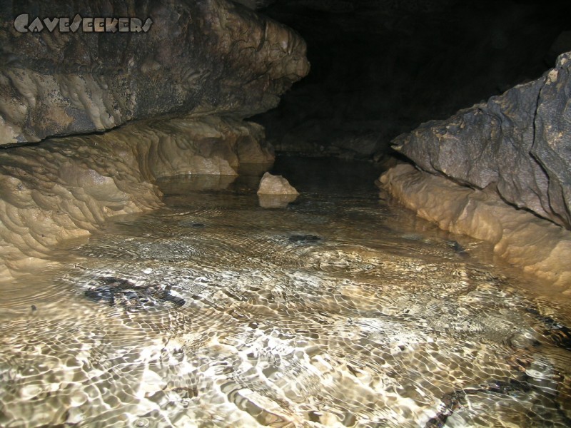 Falkensteiner Höhle: Begin der Riffstrecke.