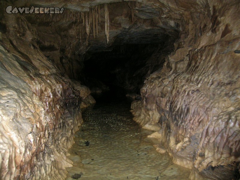 Falkensteiner Höhle: Mühlbach?