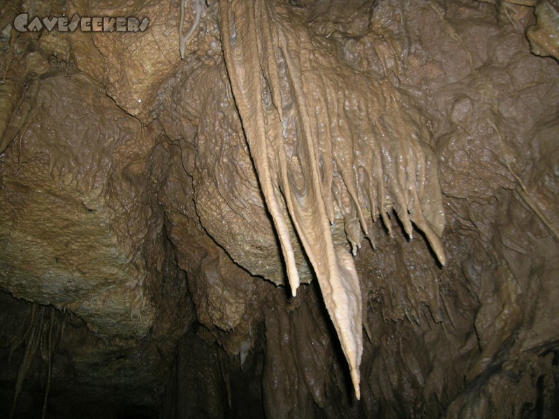 Falkensteiner Höhle: Barbarossas Bart.