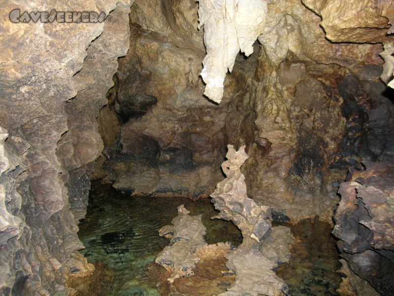 Falkensteiner Höhle: Haase?