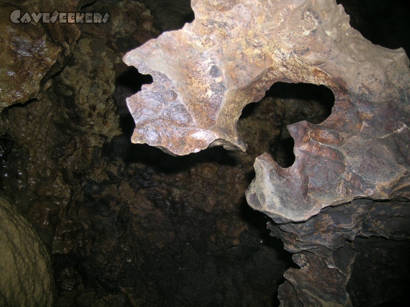 Falkensteiner Höhle: Reingschaut.