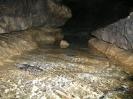 Falkensteiner Höhle - Begin der Riffstrecke.