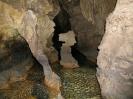 Falkensteiner Höhle - Seepferdchen!