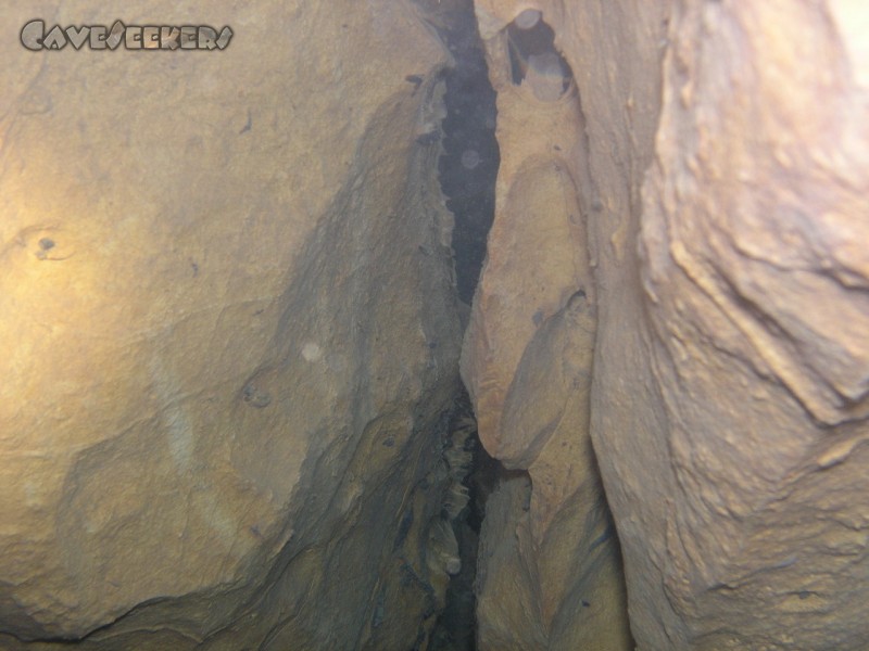 Falkensteiner Höhle: Zweiter Sipohn: Blick nach oben.
