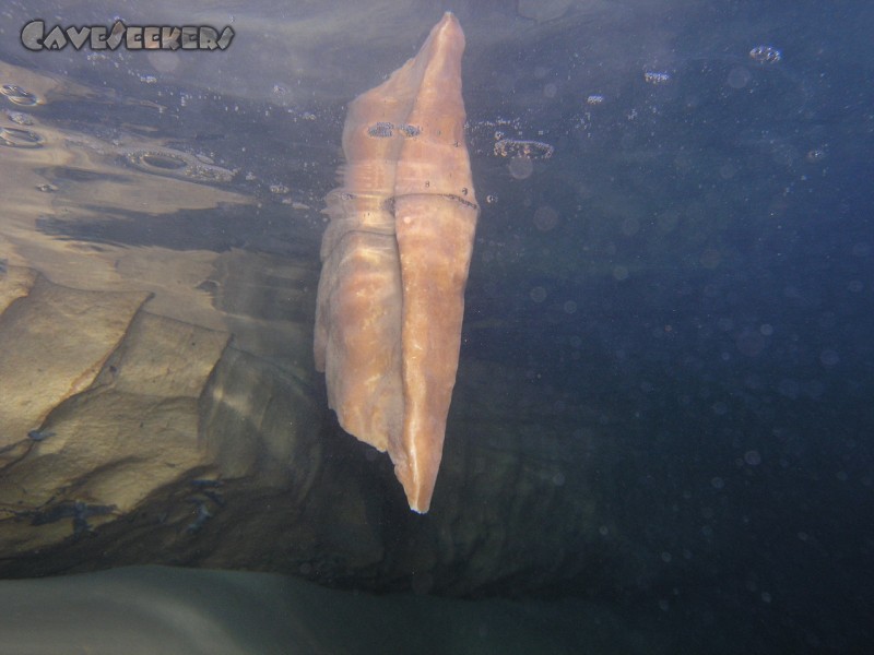 Falkensteiner Höhle: Tropfstein ins Wasser hängend.