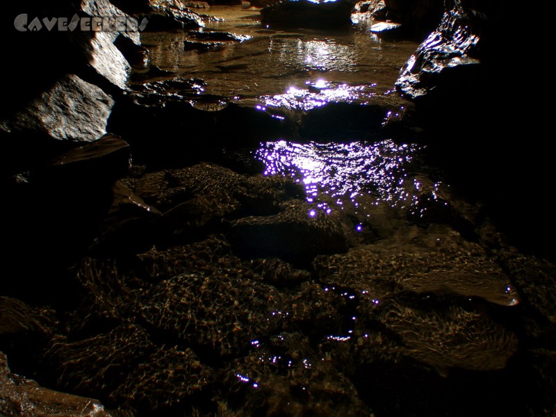 Falkensteiner Höhle: Ein 'Wasserfall' am anderen.