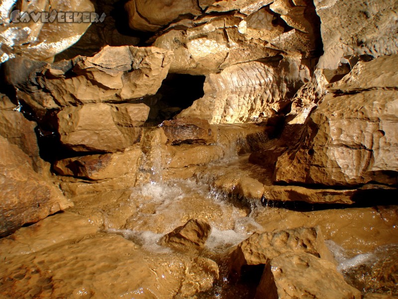 Falkensteiner Höhle: Wasserfall.