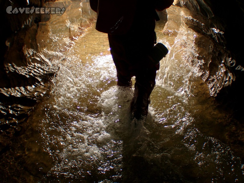 Falkensteiner Höhle: Spring Härtl, spring!