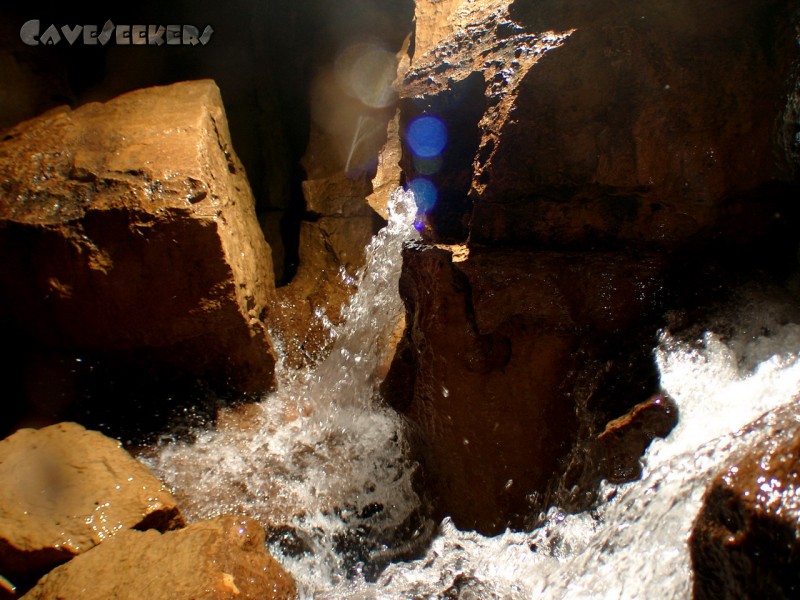Falkensteiner Höhle: Fotosafari 1: Endpunkt.