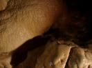Falkensteiner Höhle - 100 Meter vom Eingang entfernt.