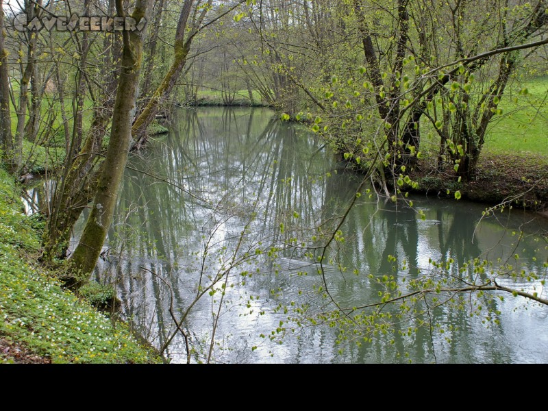 Fankerlloch: Die schwarze Laber - idyllisch