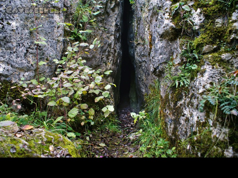 Fankerlloch: Der Eingangsspalt des Fankerllochs