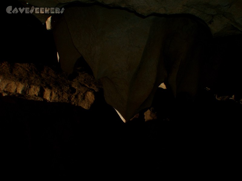 Feuertalsystem: Österreichischer Zahn aus prähistorischer Zeit.