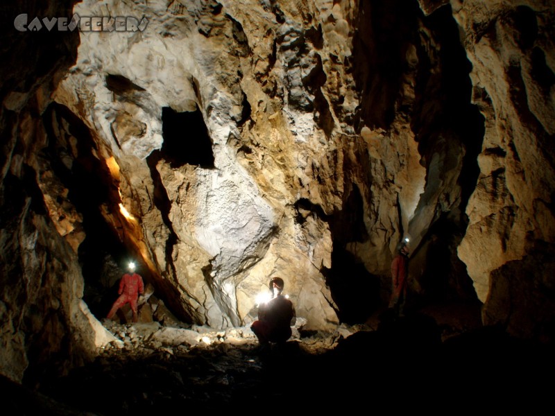 Feuertalsystem: Parallelposing.