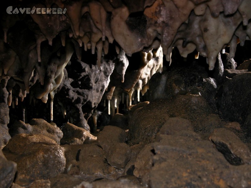 Fischerhöhle: Spaltensinter