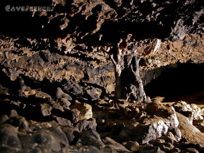 Fischerhöhle: Hallenprofil