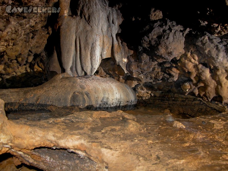 Fischerhöhle: leeres Sinterbecken im hinteren Bereich