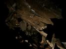 Frauenhöhle - Blick nach oben: Basalt.