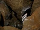 Frauenhöhle - Hier könnte man eine Basaltsäule vermuten. Man vermutet aber falsch.