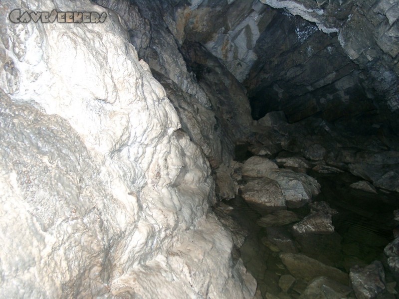 Frickenhöhle: Eine der häufig im Weg liegenden Badestellen.