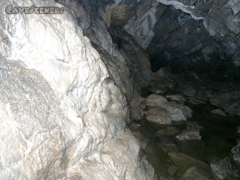 Frickenhöhle: Eine der häufig im Weg liegenden Badestellen.