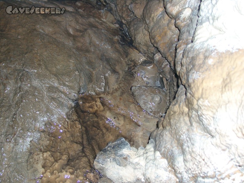 Frickenhöhle: Ab und zu wird sogar ein winz-Bächlein sichtbar.