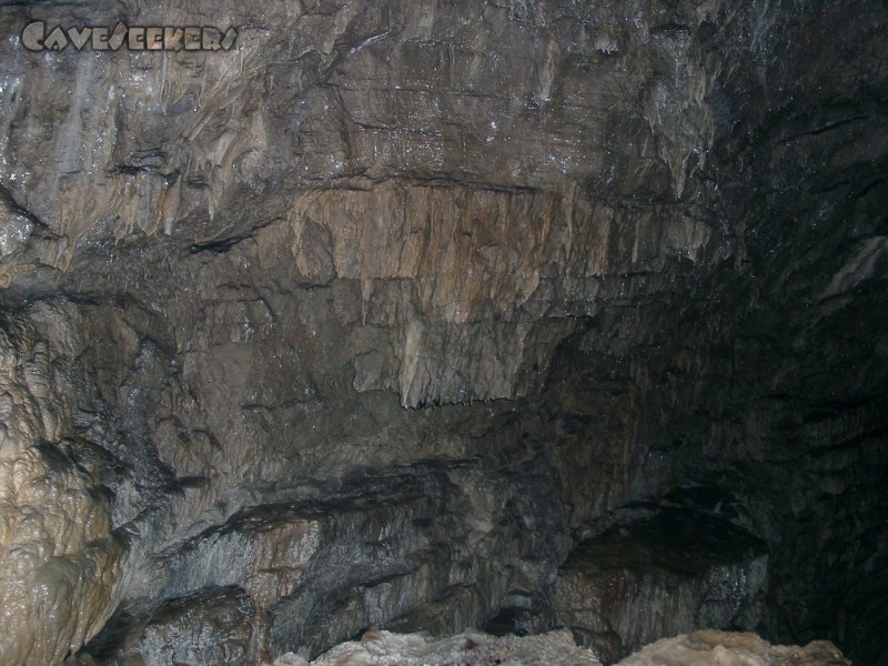 Frickenhöhle: Übersinterter Plattenkalk.