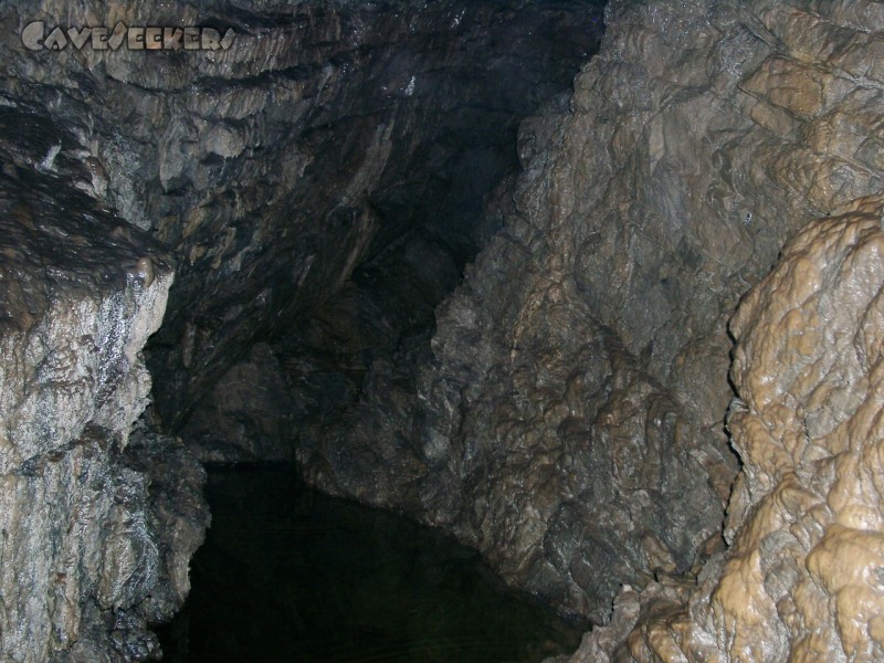 Frickenhöhle: ...aber zum umklettern ist ein Karabiner sammt Trittschlinge von nöten, die Lasche hängt schon.